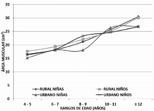Gráfico 1: Composición corporal según Área muscular por género y edad en el rupo de estudio de área rural y área urbana