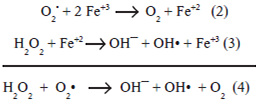 Figura 1. Mecanismo de formación del radical hidroxil